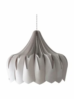 Pioni L -kattovalaisin