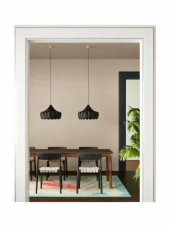 Pioni S -kattovalaisin