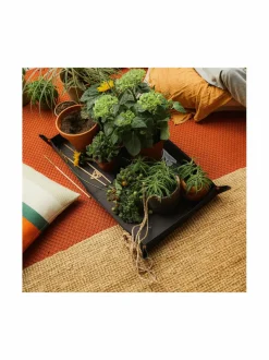 Planting & Repotting -istutusalusta