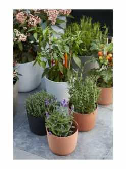 Point-ruukku 18 x 15.8 cm