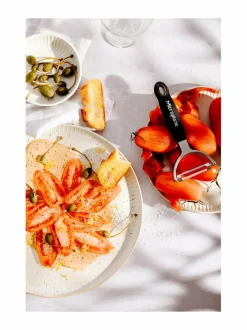 Professional Y Serrated -kuorija