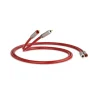 QED Reference Audio 40 2RCA-2RCA, 0.6m