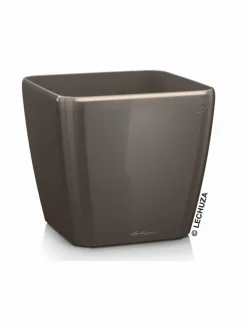 Quadro Taube Altakasteluruukku ∅35cm, korkeus 33cm