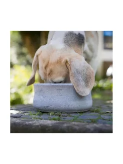 Rocky vuolukivi design ruokakulho - Harmaa