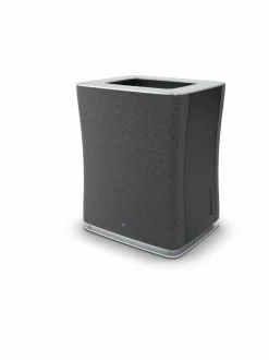 Roger Big -ilmanpuhdistin