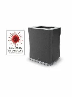 Roger Big -ilmanpuhdistin