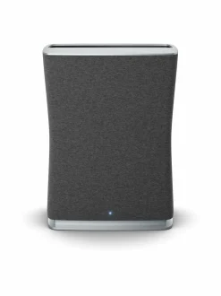 Roger Little -ilmanpuhdistin