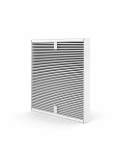 Roger-ilmanpuhdistin