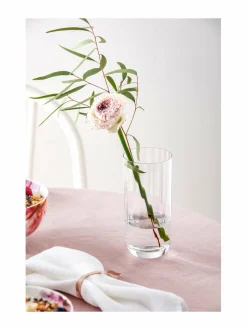 Rose Garden Long Drink -juomalasi 4 kpl