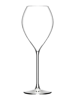 Samppanjalasi Grand Champagne 30cl (6 kpl)