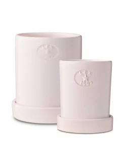 Terrakotta-kasviruukku