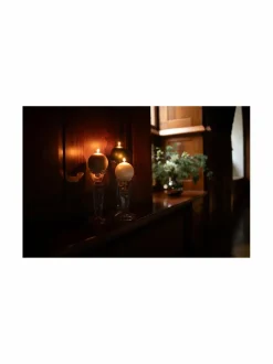 Verona-kynttilänjalka, L