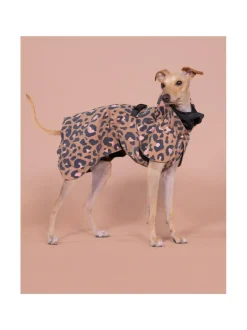 Visibility Raincoat Lite Leopard for Dogs