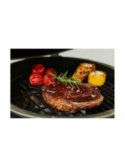 Witt by CookPerfect -langaton paistolämpömittari